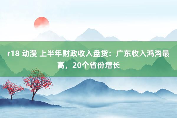 r18 动漫 上半年财政收入盘货：广东收入鸿沟最高，20个省份增长