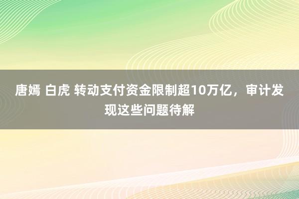 唐嫣 白虎 转动支付资金限制超10万亿，审计发现这些问题待解