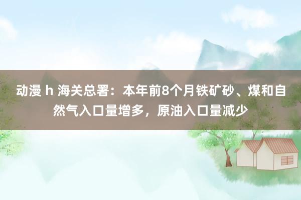 动漫 h 海关总署：本年前8个月铁矿砂、煤和自然气入口量增多，原油入口量减少