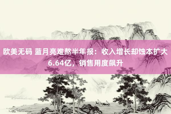 欧美无码 蓝月亮难熬半年报：收入增长却蚀本扩大6.64亿，销售用度飙升