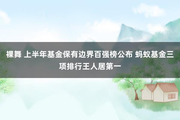 裸舞 上半年基金保有边界百强榜公布 蚂蚁基金三项排行王人居第一