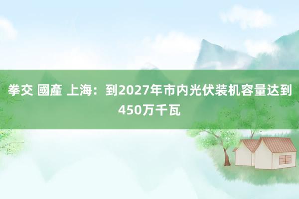 拳交 國產 上海：到2027年市内光伏装机容量达到450万千瓦