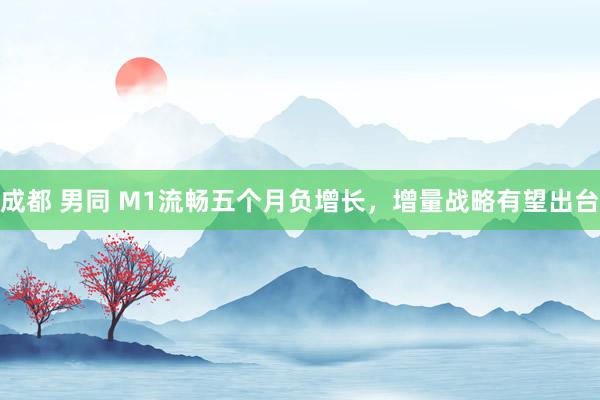 成都 男同 M1流畅五个月负增长，增量战略有望出台