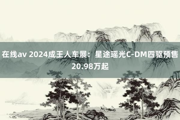 在线av 2024成王人车展：星途瑶光C-DM四驱预售20.98万起