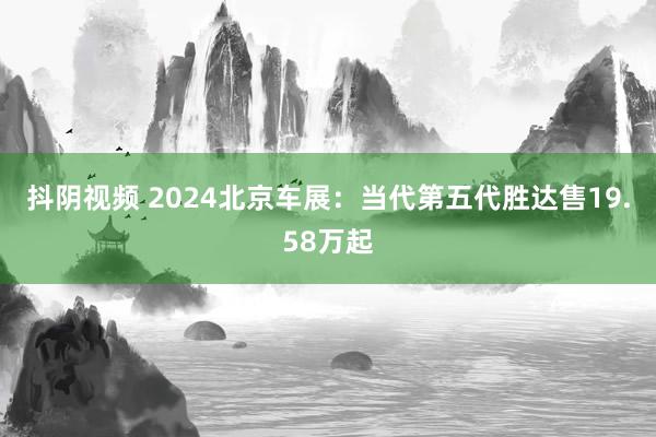 抖阴视频 2024北京车展：当代第五代胜达售19.58万起