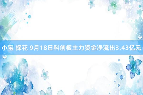 小宝 探花 9月18日科创板主力资金净流出3.43亿元