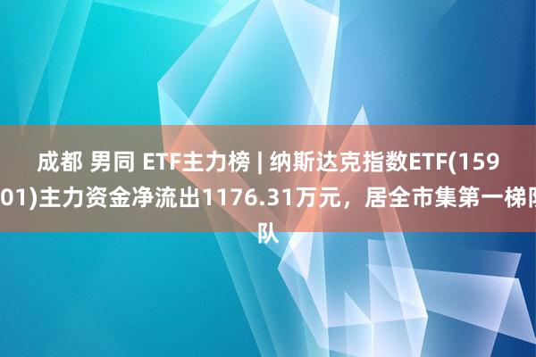 成都 男同 ETF主力榜 | 纳斯达克指数ETF(159501)主力资金净流出1176.31万元，居全市集第一梯队