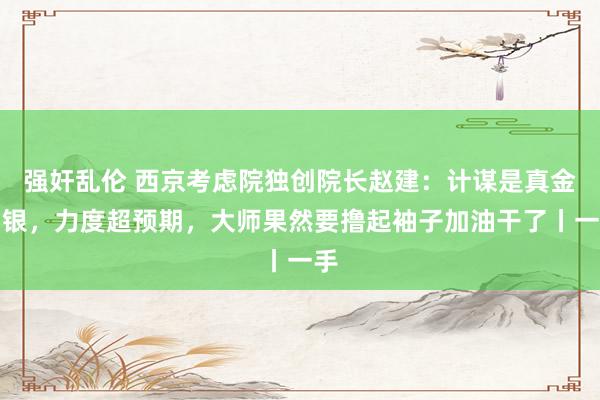 强奸乱伦 西京考虑院独创院长赵建：计谋是真金白银，力度超预期，大师果然要撸起袖子加油干了丨一手