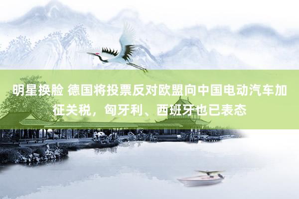 明星换脸 德国将投票反对欧盟向中国电动汽车加征关税，匈牙利、西班牙也已表态