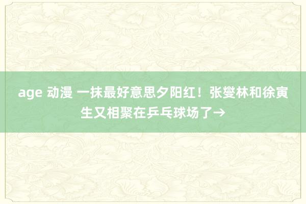 age 动漫 一抹最好意思夕阳红！张燮林和徐寅生又相聚在乒乓球场了→