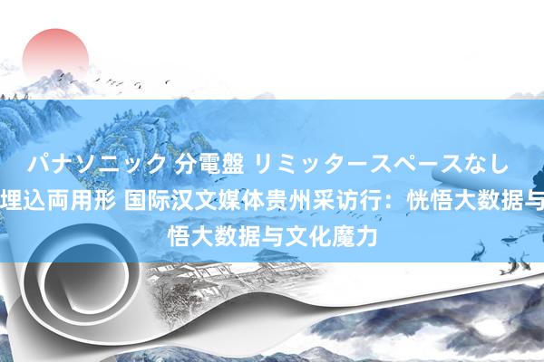 パナソニック 分電盤 リミッタースペースなし 露出・半埋込両用形 国际汉文媒体贵州采访行：恍悟大数据与文化魔力