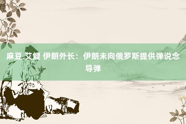 麻豆 艾鲤 伊朗外长：伊朗未向俄罗斯提供弹说念导弹