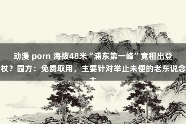 动漫 porn 海拔48米“浦东第一峰”竟租出登山杖？园方：免费取用，主要针对举止未便的老东说念主