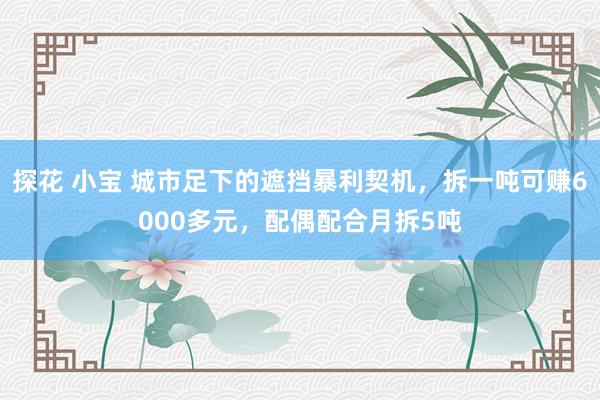 探花 小宝 城市足下的遮挡暴利契机，拆一吨可赚6000多元，配偶配合月拆5吨