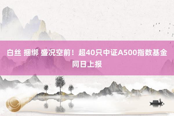 白丝 捆绑 盛况空前！超40只中证A500指数基金同日上报