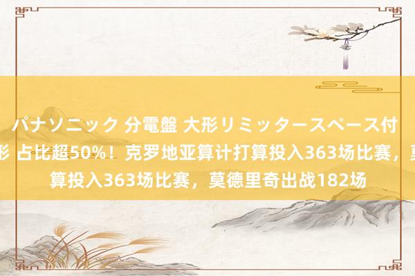 パナソニック 分電盤 大形リミッタースペース付 露出・半埋込両用形 占比超50%！克罗地亚算计打算投入363场比赛，莫德里奇出战182场