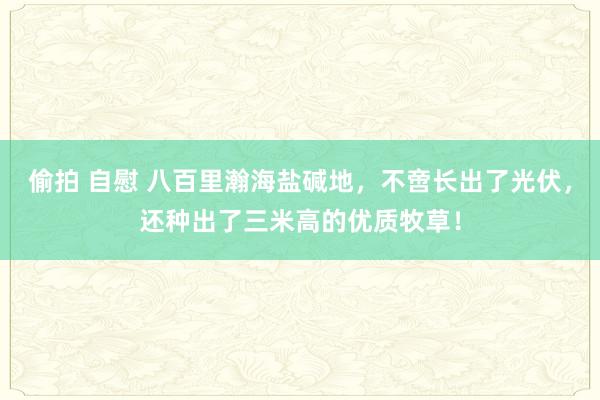 偷拍 自慰 八百里瀚海盐碱地，不啻长出了光伏，还种出了三米高的优质牧草！