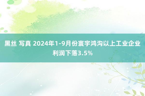 黑丝 写真 2024年1-9月份寰宇鸿沟以上工业企业利润下落3.5%