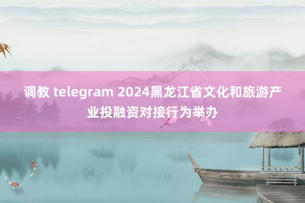 调教 telegram 2024黑龙江省文化和旅游产业投融资对接行为举办