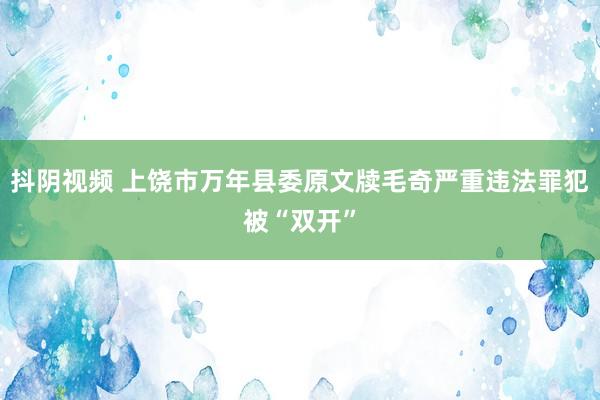 抖阴视频 上饶市万年县委原文牍毛奇严重违法罪犯被“双开”