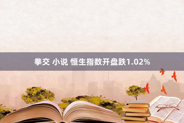 拳交 小说 恒生指数开盘跌1.02%