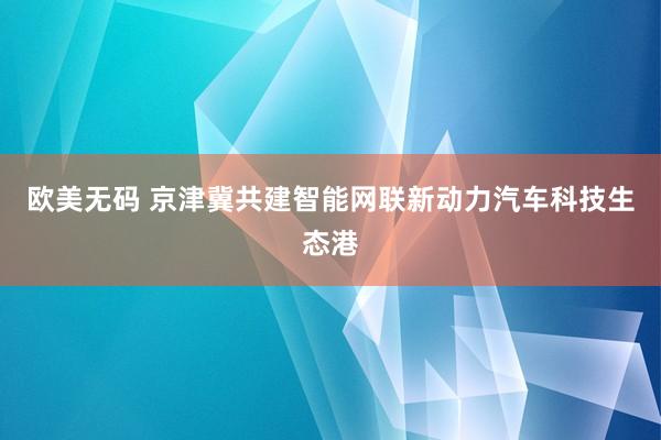 欧美无码 京津冀共建智能网联新动力汽车科技生态港