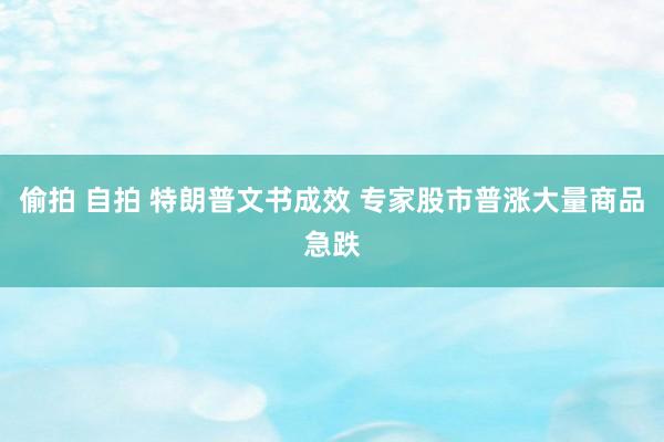 偷拍 自拍 特朗普文书成效 专家股市普涨大量商品急跌