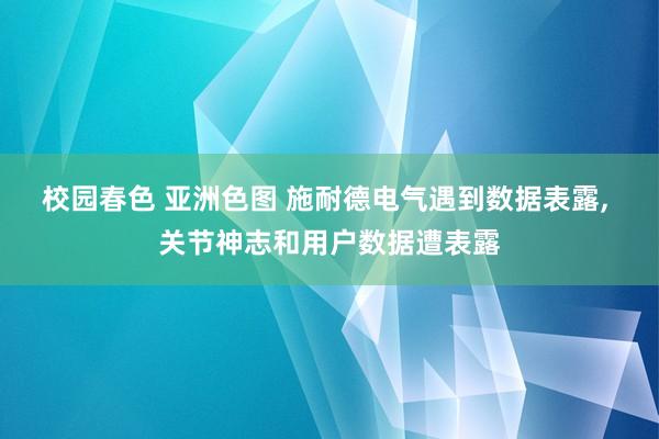 校园春色 亚洲色图 施耐德电气遇到数据表露， 关节神志和用户数据遭表露