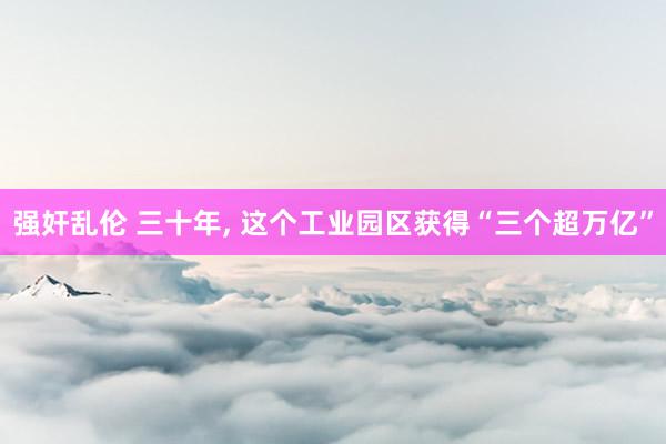 强奸乱伦 三十年， 这个工业园区获得“三个超万亿”