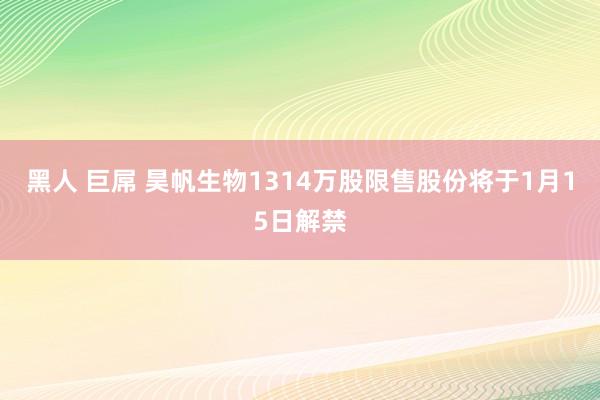 黑人 巨屌 昊帆生物1314万股限售股份将于1月15日解禁