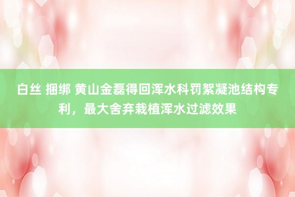 白丝 捆绑 黄山金磊得回浑水科罚絮凝池结构专利，最大舍弃栽植浑水过滤效果