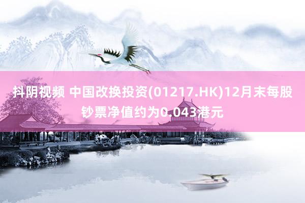 抖阴视频 中国改换投资(01217.HK)12月末每股钞票净值约为0.043港元