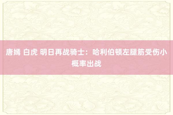 唐嫣 白虎 明日再战骑士：哈利伯顿左腿筋受伤小概率出战