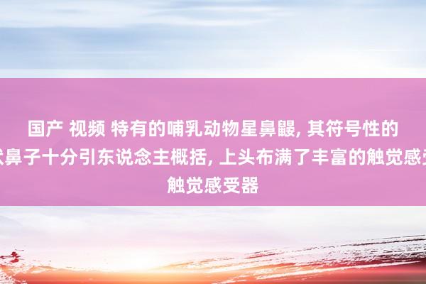 国产 视频 特有的哺乳动物星鼻鼹， 其符号性的星状鼻子十分引东说念主概括， 上头布满了丰富的触觉感受器