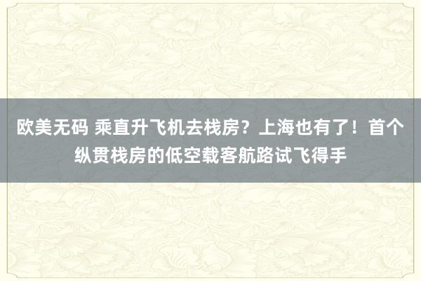 欧美无码 乘直升飞机去栈房？上海也有了！首个纵贯栈房的低空载客航路试飞得手