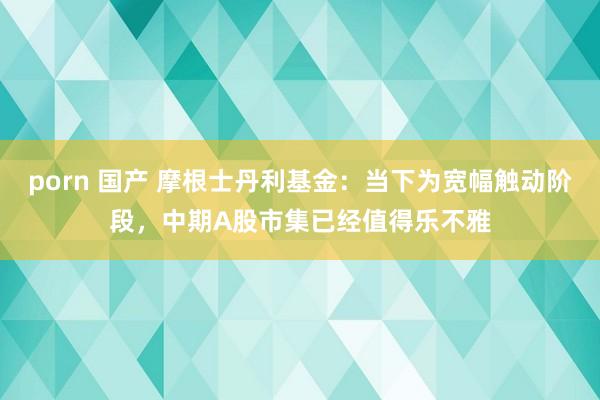 porn 国产 摩根士丹利基金：当下为宽幅触动阶段，中期A股市集已经值得乐不雅